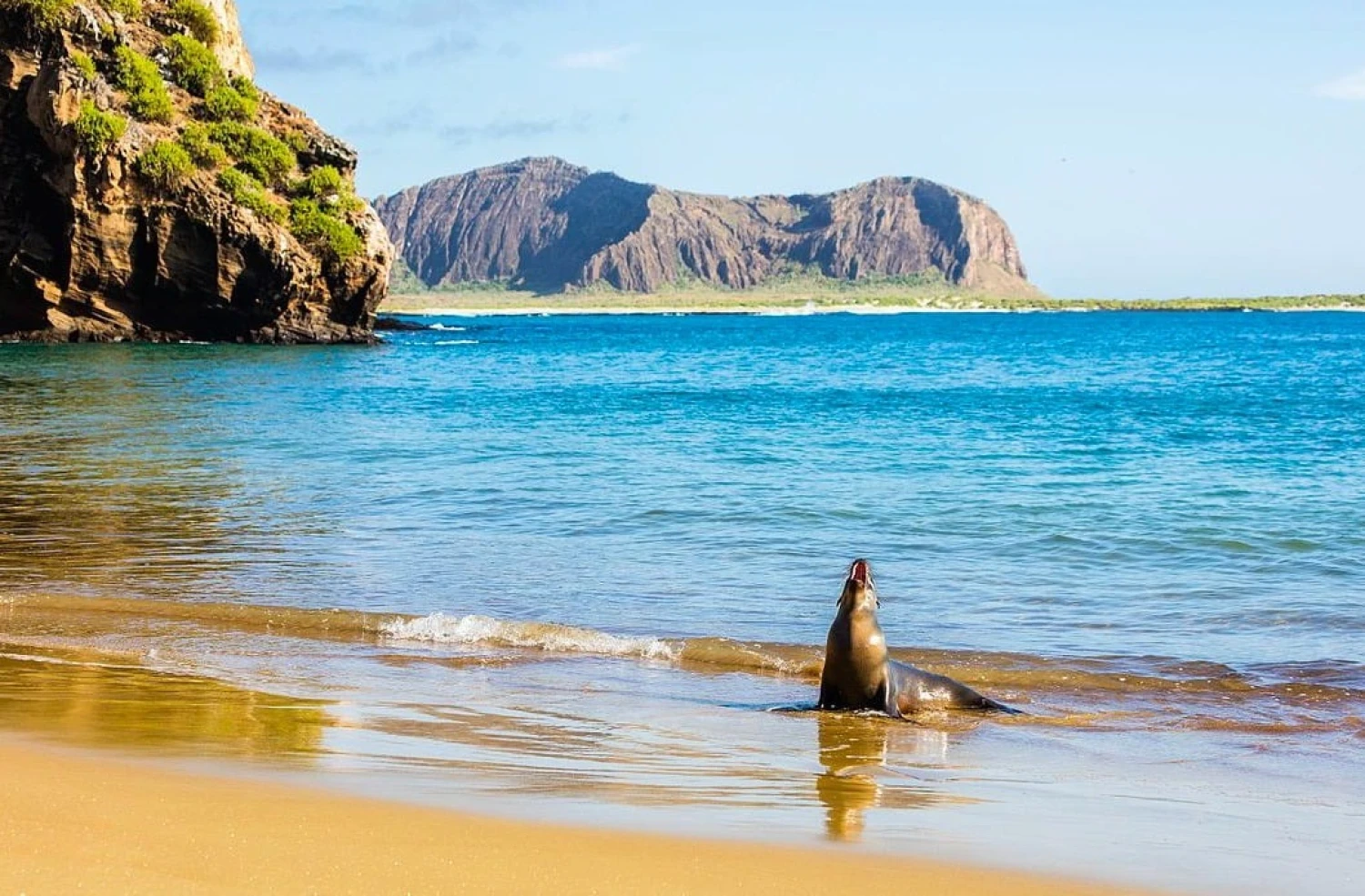 Ostrov, ktorý inšpiroval Darwina. Galapágy sa potichu zmenili na vychytenú turistickú destináciu