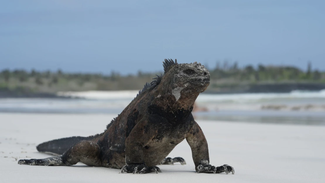 Kde vás už len tak nepustia: ikonické miesta sveta zavádzajú limity, poplatky a zákazy