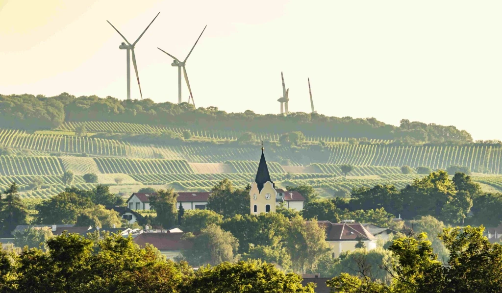 Pri ceste na viedenské letisko rastú malé vínne drahokamy. Volajú sa Rubin Carnuntum