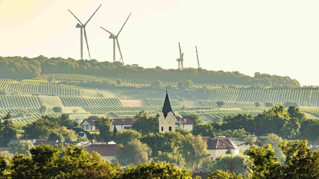 Pri ceste na viedenské letisko rastú malé vínne drahokamy. Volajú sa Rubin Carnuntum