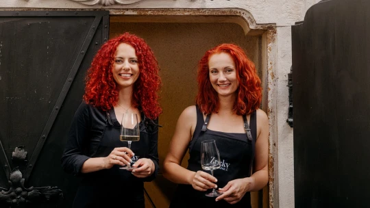 Zrzky Spanish Wine Bar x Visa: Recept na úspešný gastropodnik? Rodinná atmosféra, skvelé jedlo a moderné platobné technológie 