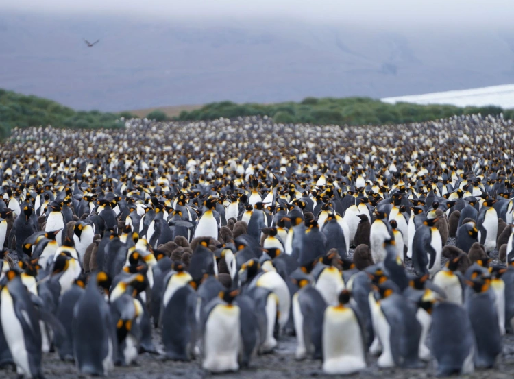 Milovník chladu a adrenalínu: Slovák sprevádzal po Antarktíde aj Willa Smitha_3