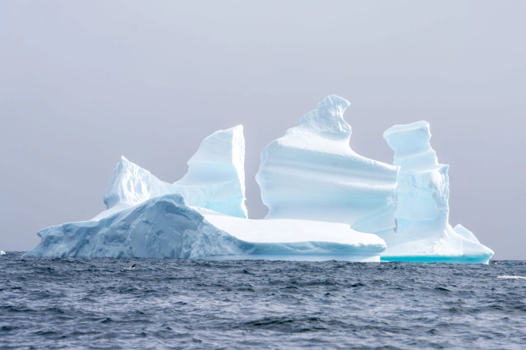 Milovník chladu a adrenalínu: Slovák sprevádzal po Antarktíde aj Willa Smitha_1