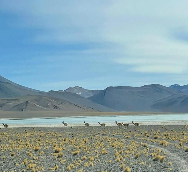 Ujsť pred svetom a pozorovať hviezdy v púšti. Awasi Atacama môže byť dovolenkou snov_4