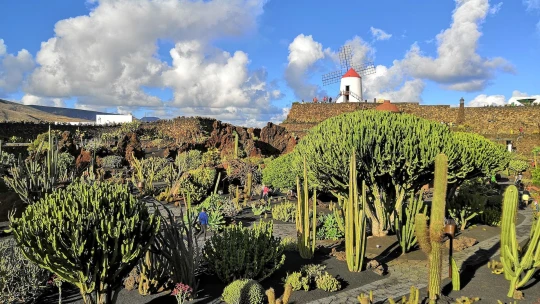 Sopky, luxus a skvelé jedlo Kanárskych ostrovov. Čo navštíviť na Lanzarote?