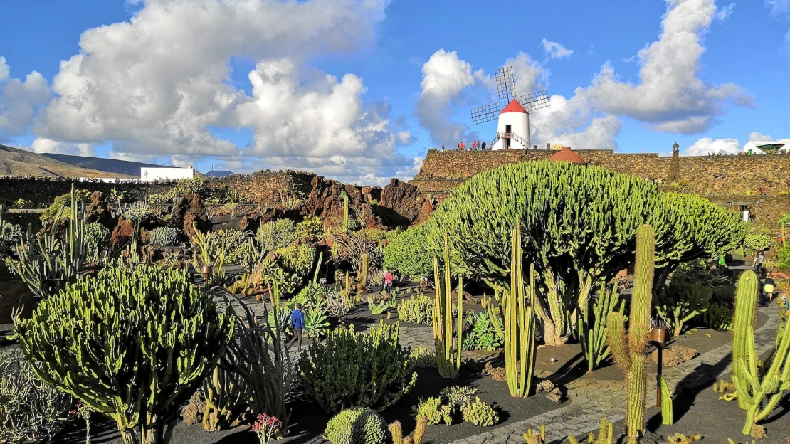 Sopky, luxus a skvelé jedlo Kanárskych ostrovov. Čo navštíviť na Lanzarote?