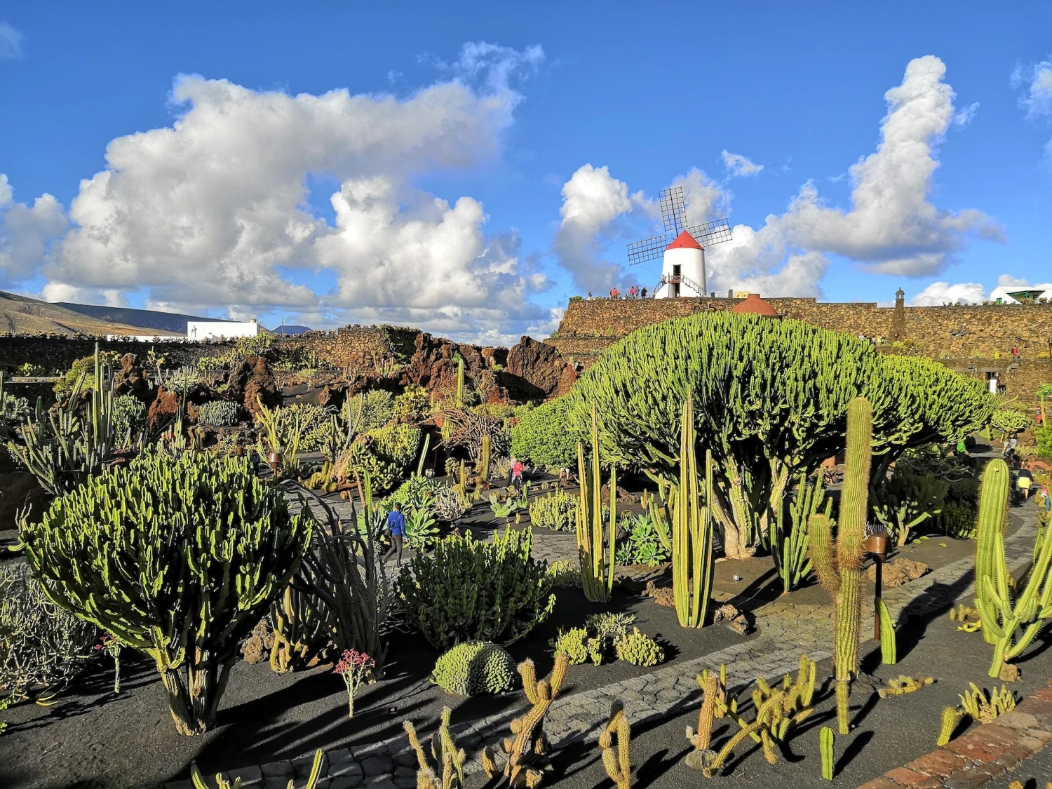 Sopky, luxus a skvelé jedlo Kanárskych ostrovov. Čo navštíviť na Lanzarote?