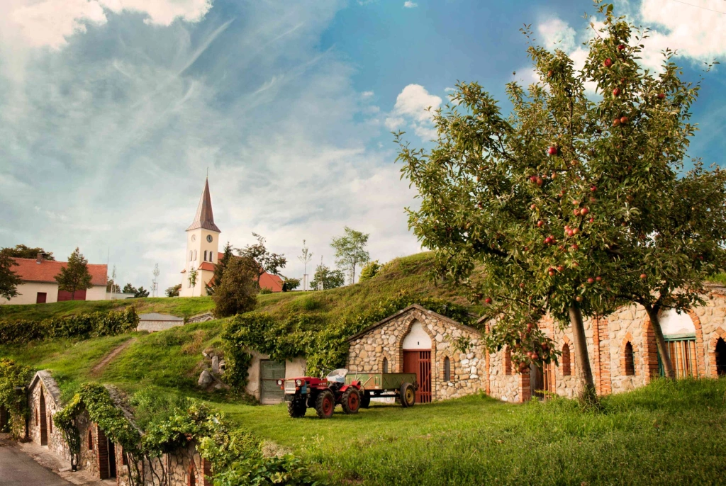 Modré hory, červené víno: päť dedín na Morave si vybudovalo značku a ťahajú celú krajinu