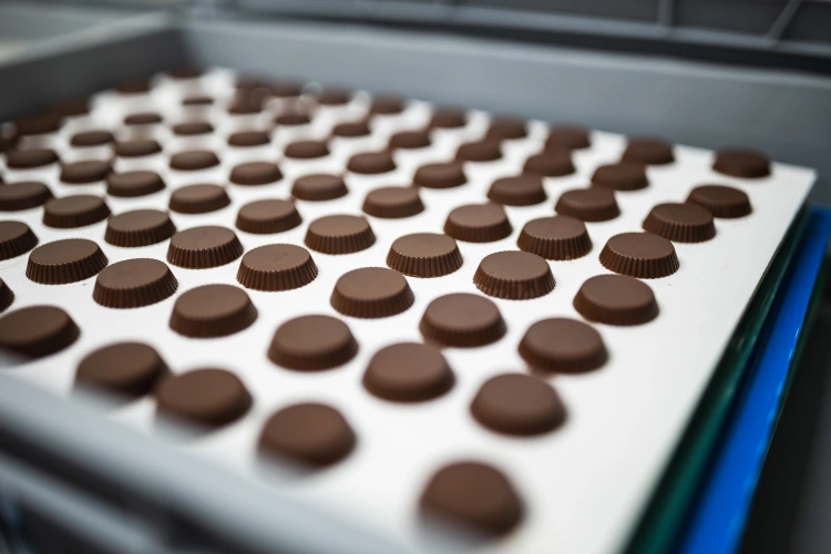Nitriansku čokoládovňu kúpili Kolumbijčania. Ako jediná v Európe si sama šľachtí kakao_10