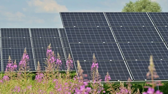 Čína zažíva boom inštalácie solárnych panelov, vláda preto znižuje dotácie