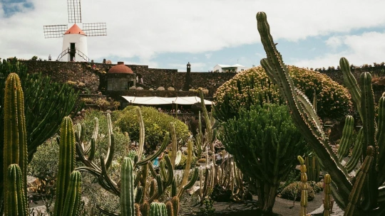 Dielo majstra Manriqueho. Ako dal bohém jedinečnú tvár ostrovu Lanzarote