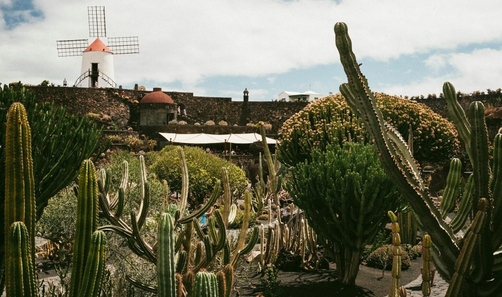 Dielo majstra Manriqueho. Ako dal bohém jedinečnú tvár ostrovu Lanzarote