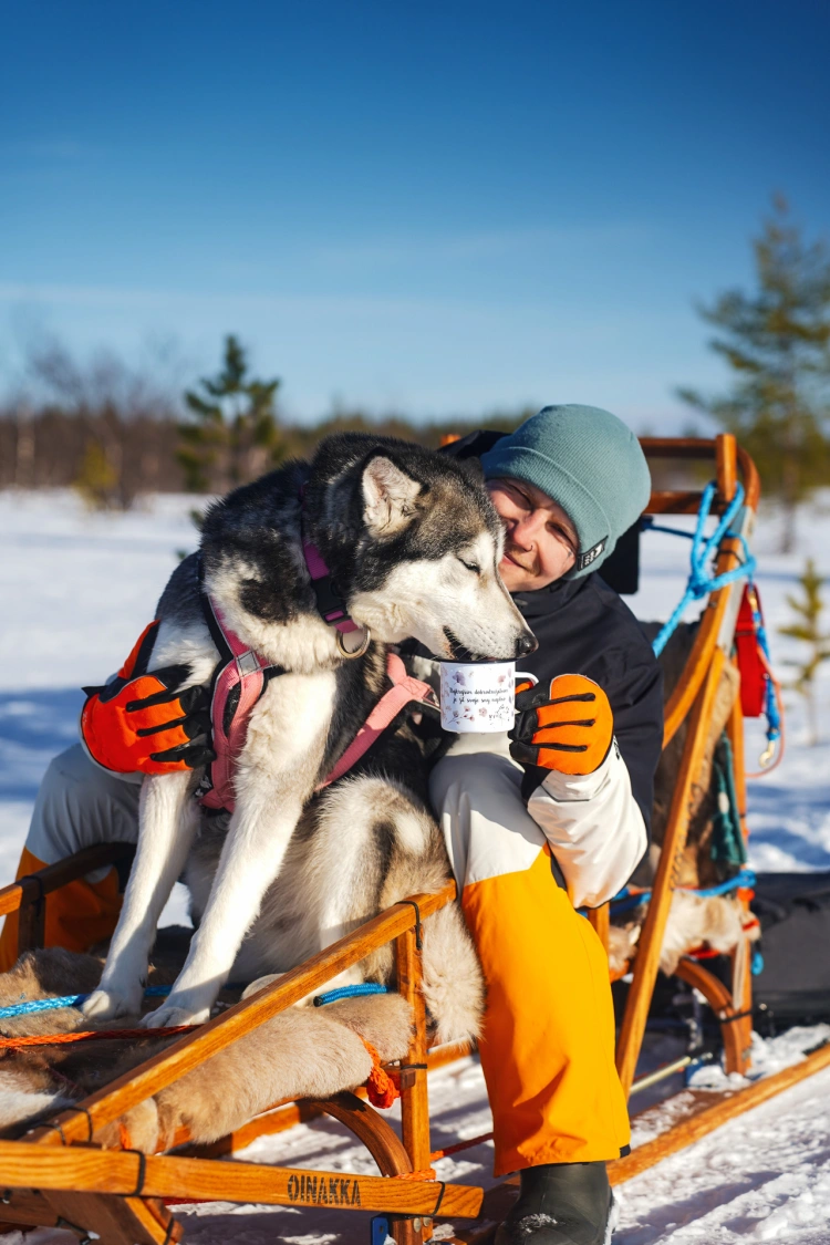 Odišli trénovať psov do Laponska: Sme v práci 24 hodín denne, ale je to splnený sen_1