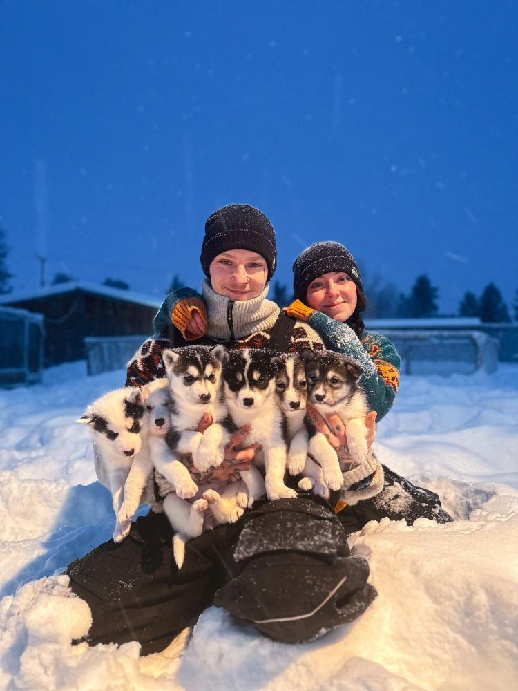 Odišli trénovať psov do Laponska: Sme v práci 24 hodín denne, ale je to splnený sen_0