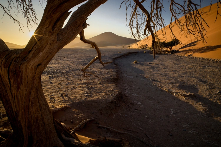 Krajina, kde sa z turistov stále tešia. Cesta do srdca Namíbie zmení váš pohľad na svet_6