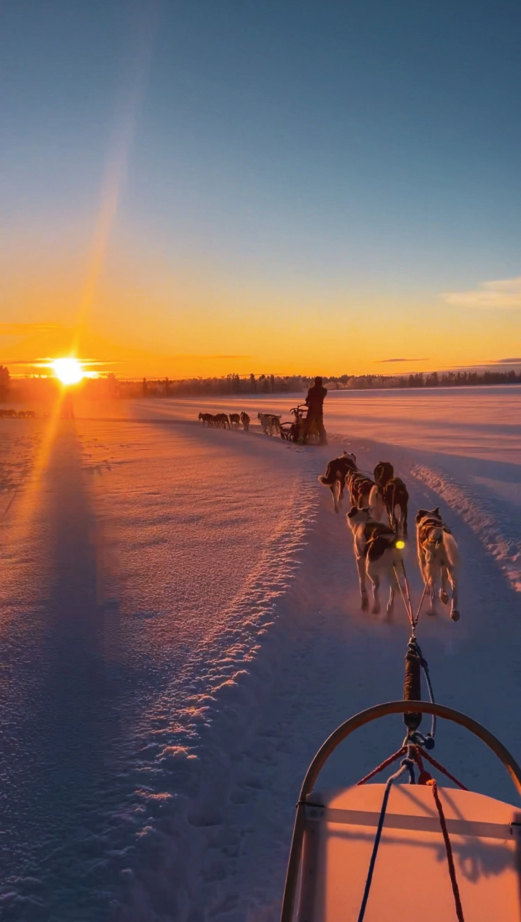 Odišli trénovať psov do Laponska: Sme v práci 24 hodín denne, ale je to splnený sen_10