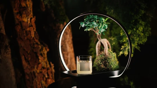 Bratislavský Mirror Bar získal prestížne svetové ocenenie. Patrí medzi 25 najlepších barov planéty