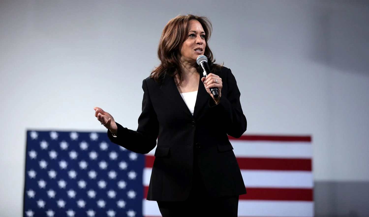 Socialistka? V žiadnom prípade. Ako Kamala Harris pristupuje k veľkému biznisu