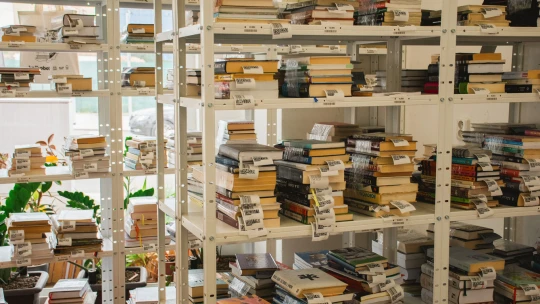 Secondhand s knihami zažíva boom. Knihobot vlani predal 4,8 milióna kníh