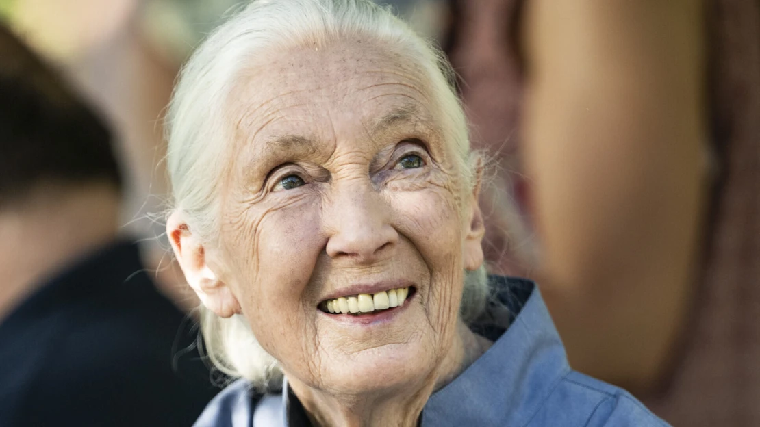 Biologička Jane Goodall: Nikto nedokáže vyriešiť všetko, môžete však zmeniť aspoň niečo