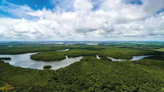 Poriadna irónia. Brazília vyrúbala v Amazónii pruh lesa, aby postavila diaľnicu pre konferenciu o klíme