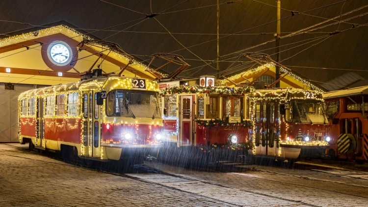 Z garáže do centier európskych metropol. Decoled mení mestá na svetelné zázraky_2