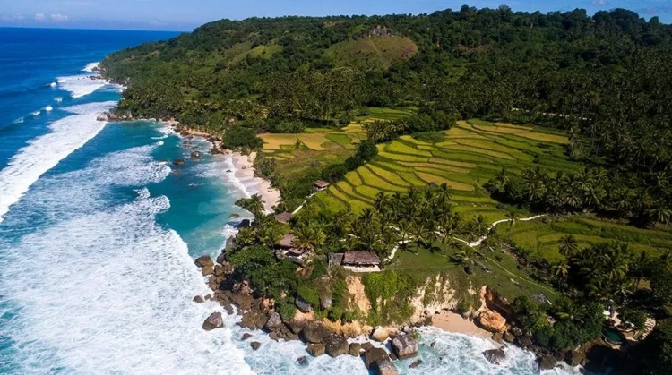 NIHI SUMBA
