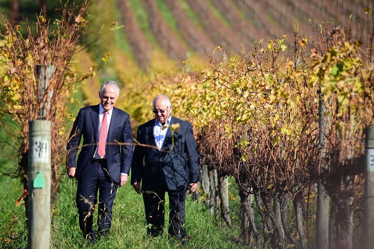 Joe Chromy vo vinohrade s bývalým austrálskym premiérom Malcolmom Turnbullom. Foto: achív Jozefa Chromého