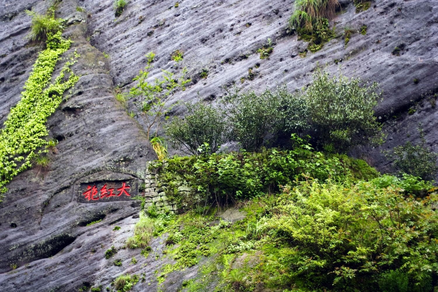 Oblasť, v ktorej sa pestujú vzácne čaje Da Hong Pao