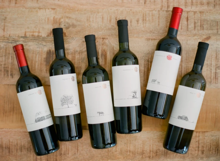 Château Rúbaň: Príbeh nezlomnej ženy, ktorú vinárstvo a kaštieľ postavili späť na nohy_3
