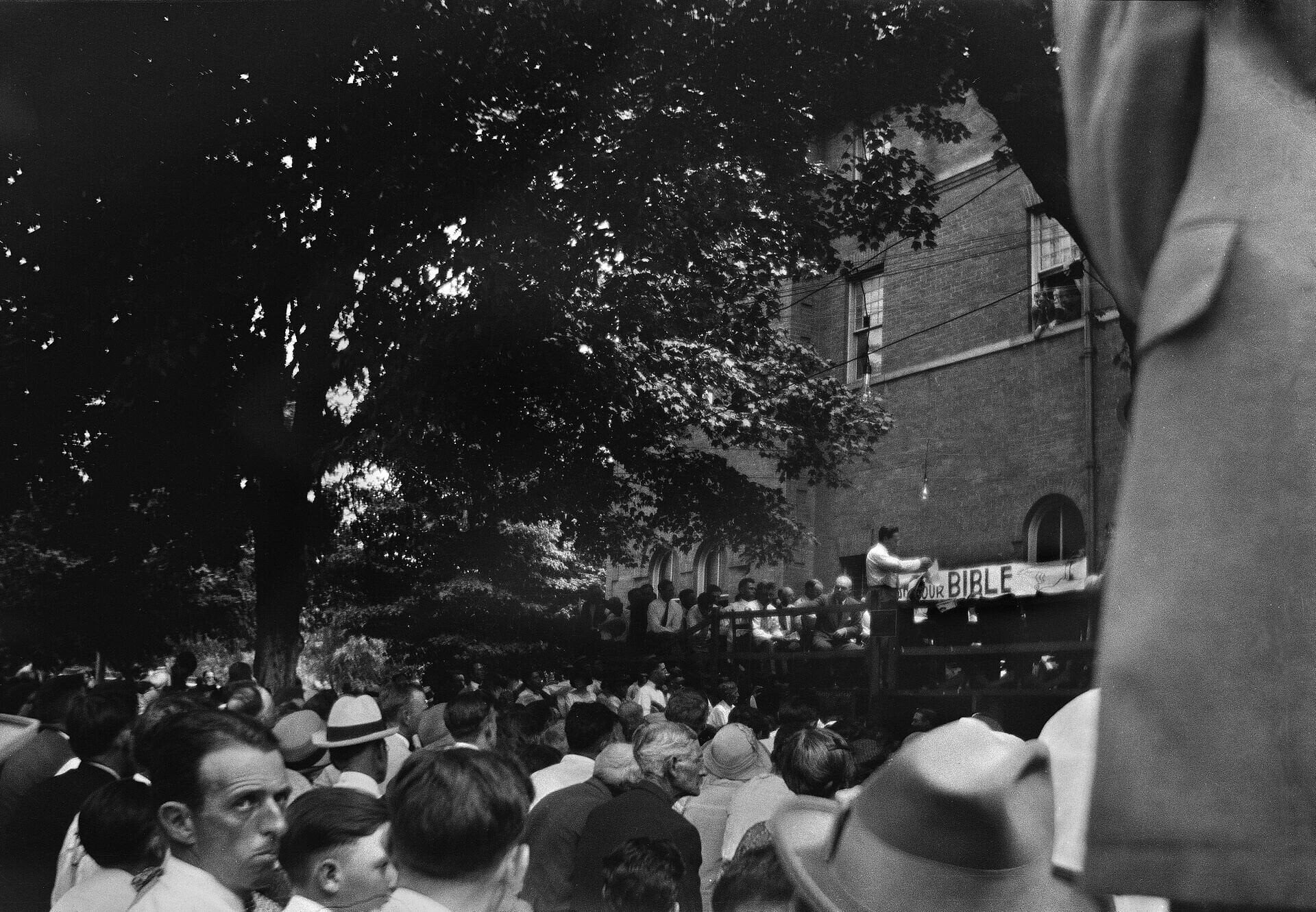 Proces sa pre extrémne horúčavy presunul na žiadosť sudcu von. Foto: William Silverman, Smithsonian Institution, voľné dielo