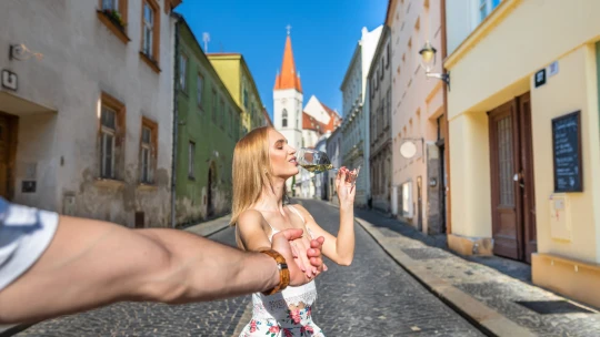 Namiesto piva radšej Pálavu. Mladí Česi s podporou štátu robia z krajiny vinársky klenot Európy