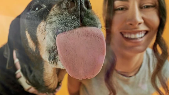 Miláčik, predĺžim ti život. Vedkyňa z Oxfordu bojuje proti starnutiu psov a získava na to milióny