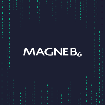 Magne B6