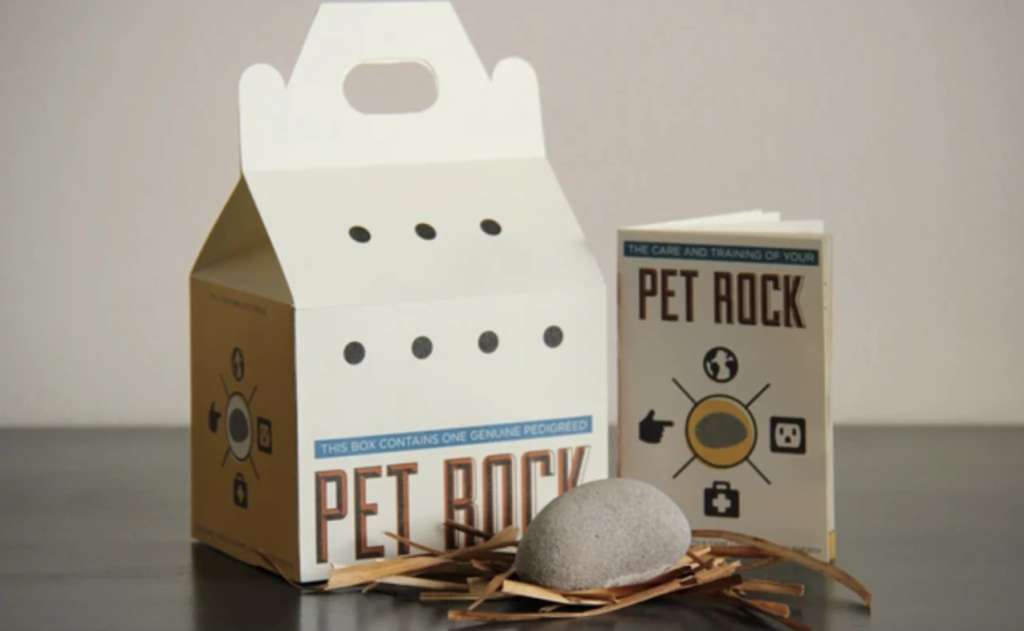 Kameň - domáci miláčik