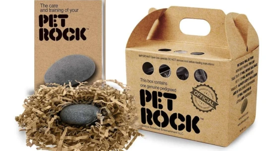 Z vtipu v bare vznikol miliónový biznis. Kamenného miláčika dnes miluje generácia Z