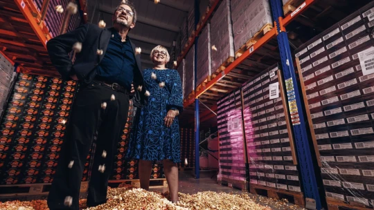 Vypukaný biznis. Pukance z Olomouca kŕmia svet, bývalí učitelia vedú miliónový biznis