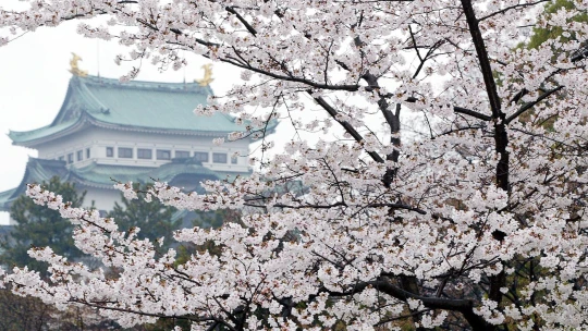 Noc za takmer 23-tisíc eur, v Nagoji otvorili hotel v štýle japonského hradu