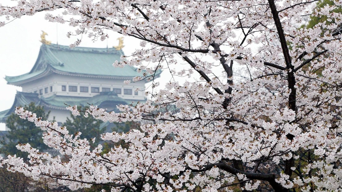 Noc za takmer 23-tisíc eur, v Nagoji otvorili hotel v štýle japonského hradu