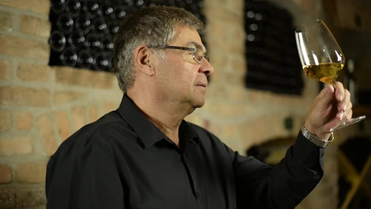 Vybudoval vinárstvo, ktoré rezonuje aj vo svete. Aký príbeh napísal život Petra Matyšáka?