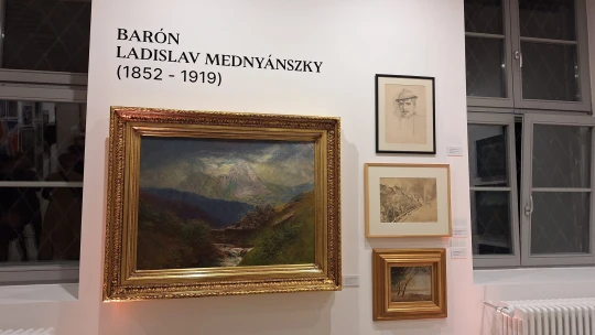 Slovensko čaká zaujímavá aukcia: Obraz baróna zo Spiša môže stáť až 100-tisíc