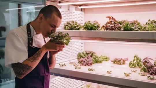 Farma veľká ako skriňa. Tento startup mení pravidlá pestovania zeleniny