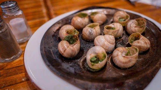 Neuveriteľná lúpež: zlodeji ukradli z francúzskej farmy jedlé slimáky v hodnote 90-tisíc eur