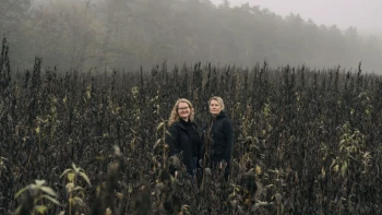 Zemiak, ktorý nie je zemiak. Prečo sa topinambur vracia na taniere šéfkuchárov
