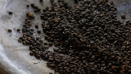 Najväčšia potravinová mánia tohto roka. Čierny sezam pobláznil kaviarne aj šéfkuchárov