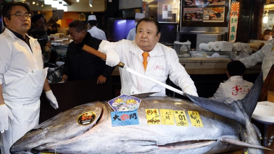 Vyše dva milióny eur za jednu rybu? Tuniakový kráľ verí v ekonomické zlepšenie