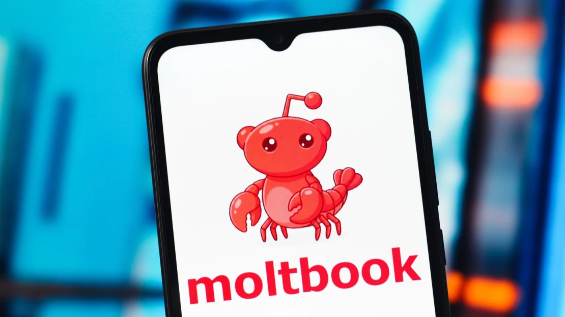 Umelá inteligencia sa zatiaľ proti ľudstvu nebúri. Moltbook je problémom z iného dôvodu