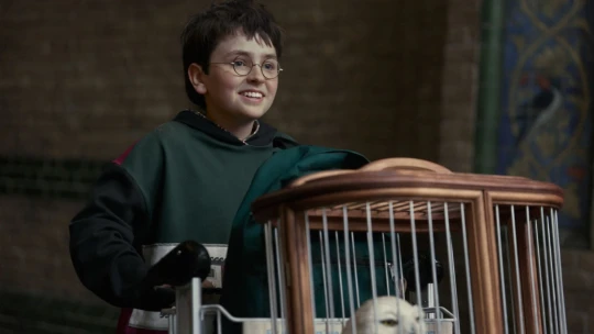 Takto vyzerá nový Harry Potter! Na obrazovky sa dostane už tento rok na Vianoce