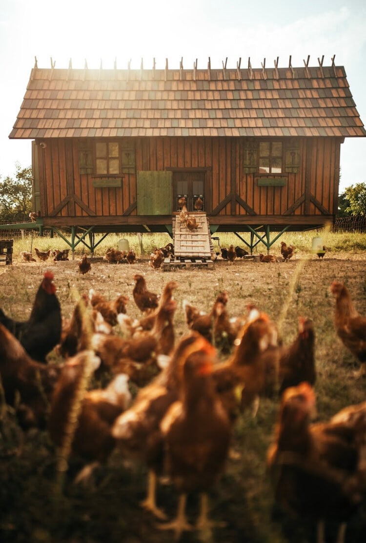 Rozprávková farma Sliepočkovo