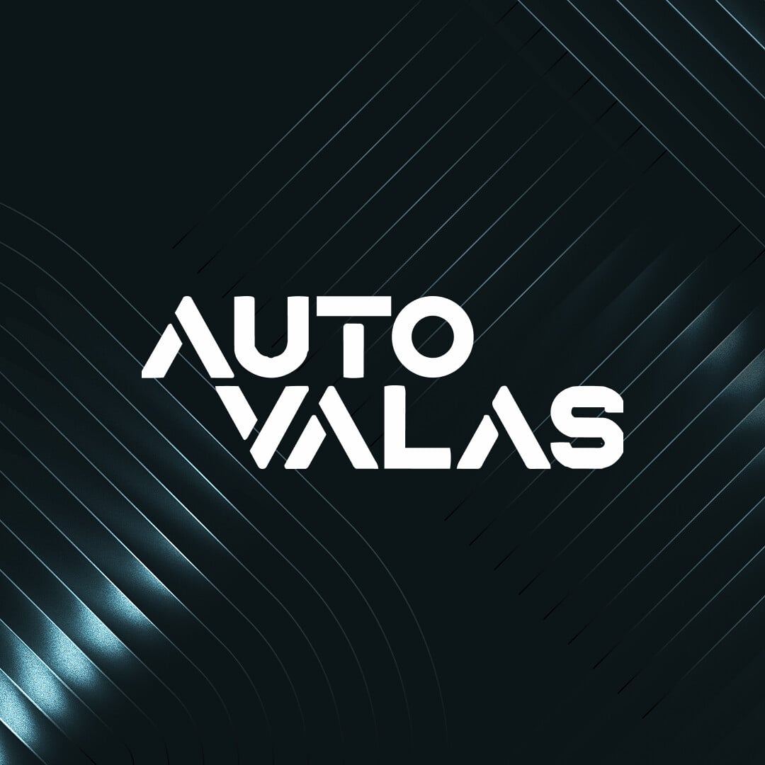 Auto-Valas Group
